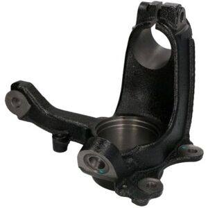 REINHOCH RH08-0013 Braccio sospensione anteriore sinistro - Ruota REINHOCH RH08-0013 Braccio sospensione anteriore sinistro - Ruota