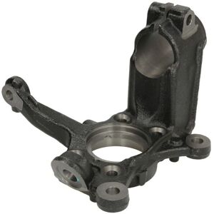REINHOCH RH08-0021 - Pieza de suspensión - Izquierda - Soporte de buje delantero para VW, Audi, Seat, Skoda REINHOCH RH08-0021 - Pieza de suspensión - Izquierda - Soporte de buje delantero para VW, Audi, Seat, Skoda