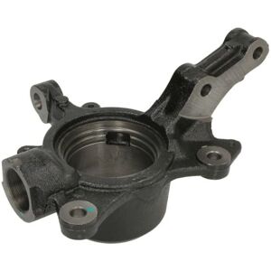 REINHOCH RH08-2023 - Veringonderdeel voor Renault Master, Clio 3 REINHOCH RH08-2023 - Veringonderdeel voor Renault Master, Clio 3