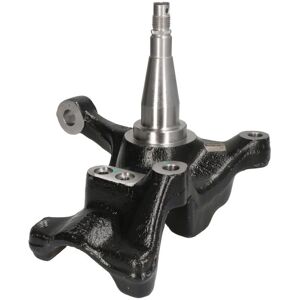 REINHOCH RH08-4026 - Mangueta de eje para Ford Fiesta, Focus REINHOCH RH08-4026 - Mangueta de eje para Ford Fiesta, Focus