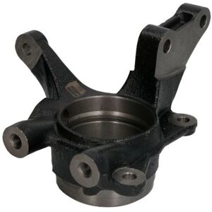 REINHOCH RH08-7005 - Snodo sterzo - Asse anteriore sinistra REINHOCH RH08-7005 - Snodo sterzo - Asse anteriore sinistra