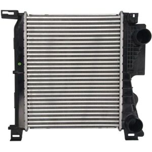 Intercooler THERMOTEC DAY001TT - Aria su Aria, Acqua su Aria, CHRYSLER: VOYAGER 4 Intercooler THERMOTEC DAY001TT - Aria su Aria, Acqua su Aria, CHRYSLER: VOYAGER 4