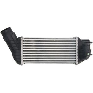 THERMOTEC DAC019TT Intercooler - Luft till Luft, Vatten till Luft - Peugeot 5008 I, 308 I, 3008 I THERMOTEC DAC019TT Intercooler - Luft till Luft, Vatten till Luft - Peugeot 5008 I, 308 I, 3008 I
