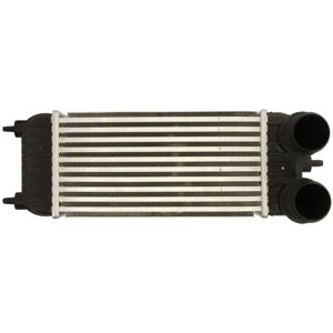 THERMOTEC DAC023TT Intercooler - 150x300x80mm THERMOTEC DAC023TT Intercooler - 150x300x80mm