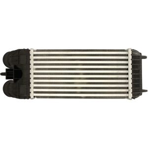 Intercooler THERMOTEC DAP007TT - Alluminio, 150mm, 300mm, 76mm Intercooler THERMOTEC DAP007TT - Alluminio, 150mm, 300mm, 76mm