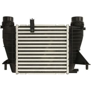 Intercooler Thermotec DAR027TT - Aria su Aria, Acqua su Aria, Renault Clio 3, Modus, Grand Modus Intercooler Thermotec DAR027TT - Aria su Aria, Acqua su Aria, Renault Clio 3, Modus, Grand Modus