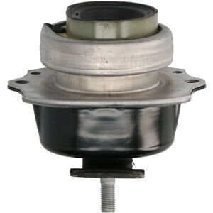 REINHOCH RH11-3093 Motorsteun - Hydraulische ondersteuning voor BMW X5 X6 REINHOCH RH11-3093 Motorsteun - Hydraulische ondersteuning voor BMW X5 X6