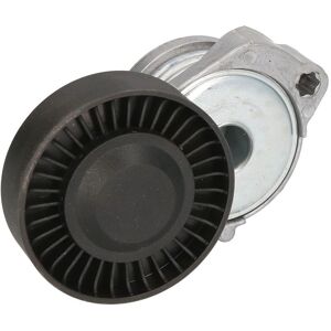 BTA E3G0006BTA Tensor di cinghia - Belt Tensioner BTA E3G0006BTA Tensor di cinghia - Belt Tensioner