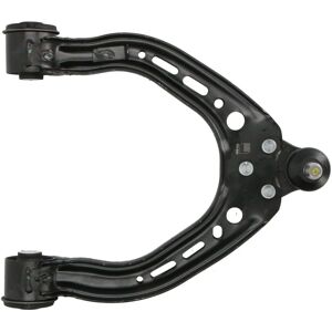 Tesla Model S REINHOCH RH04-6046 Braccio di sospensione - Triangolo trasversale - Acciaio Tesla Model S REINHOCH RH04-6046 Braccio di sospensione - Triangolo trasversale - Acciaio