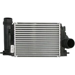 THERMOTEC DAR028TT Intercooler - Luft-till-Luft, Luft-till-Vatten - Intercooler THERMOTEC DAR028TT Intercooler - Luft-till-Luft, Luft-till-Vatten - Intercooler