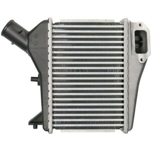 Intercooler THERMOTEC DA4003TT - Alluminio, Compatibile Honda Intercooler THERMOTEC DA4003TT - Alluminio, Compatibile Honda
