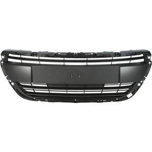 Blic Griglia radiatore 6502-07-5509992P - Griglia radiatore Blic Griglia radiatore 6502-07-5509992P - Griglia radiatore