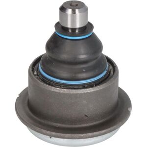 REINHOCH RH03-6013 Articolazione sospensione - Montaggio sull'asse posteriore REINHOCH RH03-6013 Articolazione sospensione - Montaggio sull'asse posteriore