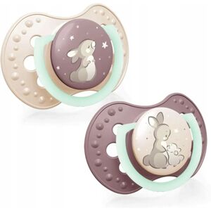 LOVI Baby Dummy Night&Day Girl Silicone 2 pcs LOVI Baby Dummy Night&Day Girl Silicone 2 pcs