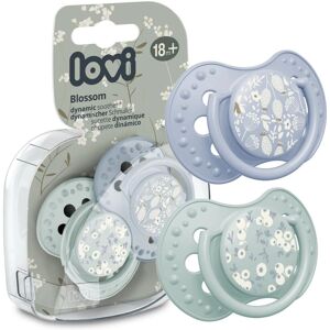 LOVI Blossom 18m+ Dummy & Pacifier Set - Baby Dummy and Pacifier LOVI Blossom 18m+ Dummy & Pacifier Set - Baby Dummy and Pacifier