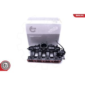 Esen Skv 6J133201BD Módulo de admisión - Compatible con Audi, Seat, Skoda, VW Esen Skv 6J133201BD Módulo de admisión - Compatible con Audi, Seat, Skoda, VW