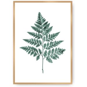 Dekoria Farn Emerald Green - Wandkunst 30x40 cm Dekoria Farn Emerald Green - Wandkunst 30x40 cm