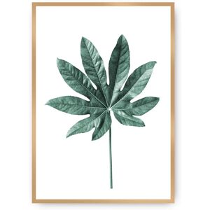 Dekoria Smaragdgrünes Blatt Poster - 40x50cm - Wandkunst Dekoria Smaragdgrünes Blatt Poster - 40x50cm - Wandkunst