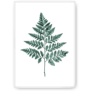 Dekoria Farn Emerald Green - 40x50 cm - Plakat Dekoria Farn Emerald Green - 40x50 cm - Plakat