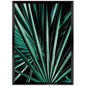 Dekoria - Dark Palm Tree - Schwarz - Grün - Plakat Dekoria - Dark Palm Tree - Schwarz - Grün - Plakat