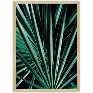 Dekoria - Dark Palm Tree - 50 x 70 cm - schwarz, grün - poster Dekoria - Dark Palm Tree - 50 x 70 cm - schwarz, grün - poster