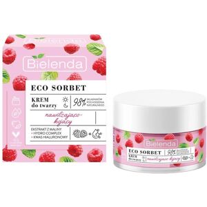 Bielenda Eco Sorbet Framboos Hydraterende Creme - Gezicht Bielenda Eco Sorbet Framboos Hydraterende Creme - Gezicht