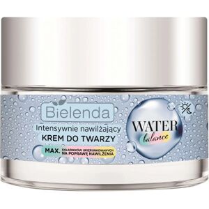 Bielenda Water Balance Intensive Hydrating Face Cream - Moisturizer for Dry Skin Bielenda Water Balance Intensive Hydrating Face Cream - Moisturizer for Dry Skin