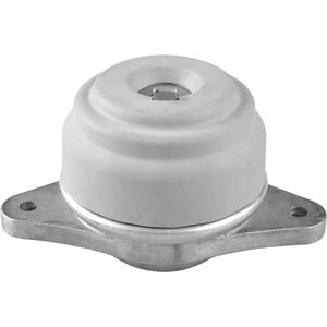 Tedgum TED36858 Hydrauliskt stöd för Mercedes S-klass - Motorfäste Tedgum TED36858 Hydrauliskt stöd för Mercedes S-klass - Motorfäste