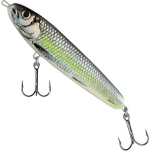 Salmo Modèle 12cm 34g Poisson Chartreuse Argent - Publicité Salmo Modèle 12cm 34g Poisson Chartreuse Argent - Publicité