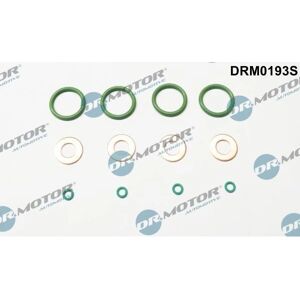 Dr. Motor Automotive Renault Master Injector & Seal Set Dr. Motor Automotive Renault Master Injector & Seal Set