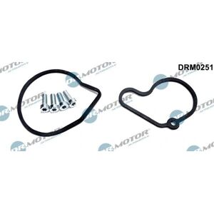 Kit de reparación de bomba de vacío DR.MOTOR AUTOMOTIVE DRM0251 - Kit reparación bomba de vacío Kit de reparación de bomba de vacío DR.MOTOR AUTOMOTIVE DRM0251 - Kit reparación bomba de vacío
