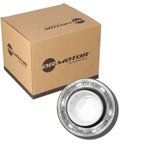 Dr.motor Camshaft Seal for Citroën Berlingo - Engine Part Dr.motor Camshaft Seal for Citroën Berlingo - Engine Part
