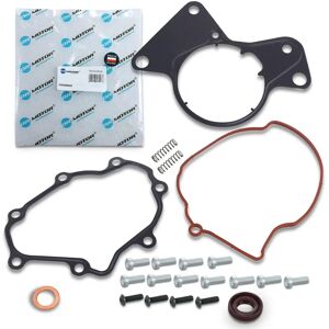 Kit de reparación de bomba VW - Tandem para VW TDI 2.5L Kit de reparación de bomba VW - Tandem para VW TDI 2.5L