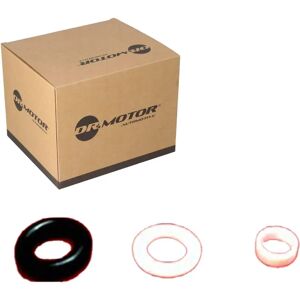 Dr.motor Automotive Fuel Injector Repair Kit - Audi, Seat, Skoda Dr.motor Automotive Fuel Injector Repair Kit - Audi, Seat, Skoda