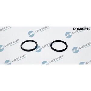 Dr.motor Automotive Dichtung Heizungsschlauch - Ford: 1342708, 3m5h19e889da - Junta, Manguera de Calefacción Dr.motor Automotive Dichtung Heizungsschlauch - Ford: 1342708, 3m5h19e889da - Junta, Manguera de Calefacción