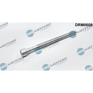 Tornillo de soporte de inyector Dr.motor Automotive - M6, 88mm, llave interior - Pieza automotriz Tornillo de soporte de inyector Dr.motor Automotive - M6, 88mm, llave interior - Pieza automotriz
