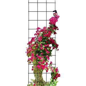 KADAX Garden Pergola Metal Support for Plants Roses Flowers - Garden pergola support KADAX Garden Pergola Metal Support for Plants Roses Flowers - Garden pergola support