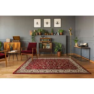 Royal ADR Claret Burgundy Carpet - Polypropylene, 150x300 cm Royal ADR Claret Burgundy Carpet - Polypropylene, 150x300 cm