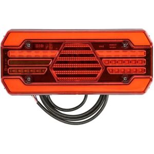 Luce posteriore WAŚ 2008 DD L W252DD Luce posteriore WAŚ 2008 DD L W252DD