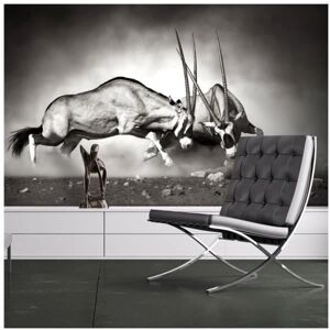 ARTGEIST Modèle Gemsbok Kamp Murale Murale - Scène de Jungle - Publicité ARTGEIST Modèle Gemsbok Kamp Murale Murale - Scène de Jungle - Publicité