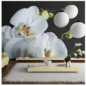 Papier peint Artgeist Phalaenopsis - Résistant à l'eau & Facile à poser - Publicité Papier peint Artgeist Phalaenopsis - Résistant à l'eau & Facile à poser - Publicité