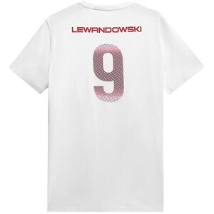 4F TSM950 R4L21TSM950 T-Shirt Homme Toute l'Année - T-Shirt - Publicité 4F TSM950 R4L21TSM950 T-Shirt Homme Toute l'Année - T-Shirt - Publicité
