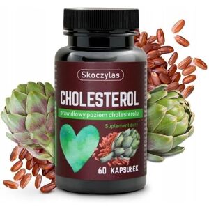 Skoczylas Cholesterol 60 kapsułek - Wspiera zdrowy poziom cholesterolu Skoczylas Cholesterol 60 kapsułek - Wspiera zdrowy poziom cholesterolu