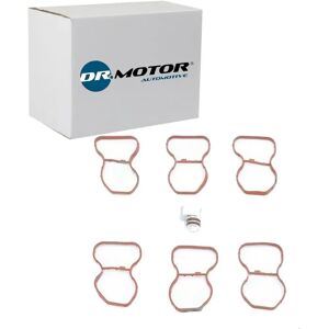 BMW Model Intake Manifold Gasket - Automotive Dichtungssatz BMW Model Intake Manifold Gasket - Automotive Dichtungssatz