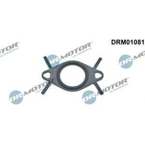 Dr.motor Automotive DRM01081 - Junta y Tubo Válvula AGR para Opel Astra Signum Dr.motor Automotive DRM01081 - Junta y Tubo Válvula AGR para Opel Astra Signum