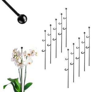 Kadax 50cm Plant Support Set of 10 - Garden Supports Kadax 50cm Plant Support Set of 10 - Garden Supports