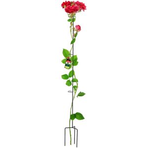 Kadax Rose Plant Support - Weatherproof 140cm Kadax Rose Plant Support - Weatherproof 140cm
