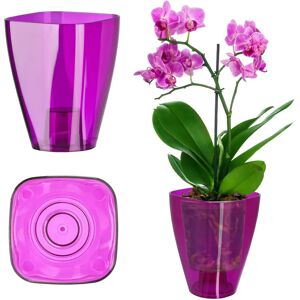 KADAX Purple Plastic Cover for Orchids 9cm Elegant Flowerbed - Plant Cover KADAX Purple Plastic Cover for Orchids 9cm Elegant Flowerbed - Plant Cover