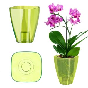 KADAX Green Square Flower Vase - Orchid and Plant Pot KADAX Green Square Flower Vase - Orchid and Plant Pot