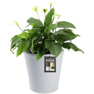 Kadax Plastic Round Flower Pot - Weatherproof, 40cm Kadax Plastic Round Flower Pot - Weatherproof, 40cm